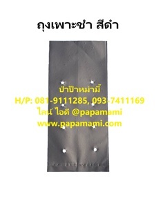 ถุงเพาะชำดำ 8x16 มีรูระบาย ถุงเพาะกล้า