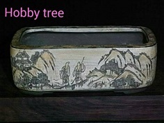 กระถางบอนไซญี่ปุ่น | hobby tree - ลำลูกกา ปทุมธานี