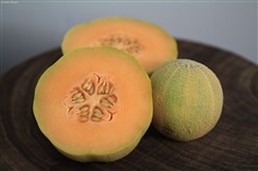 เมล่อน มินิโซต้า มิดแกต Minnesota Midget Melon Seeds