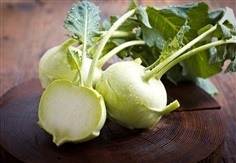 กะหล่ำปม สีเขียว Green VIENNA KOHLRABI Brassica