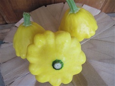 ฟักจานบินเหลือง  Yellow patty-pan-squash