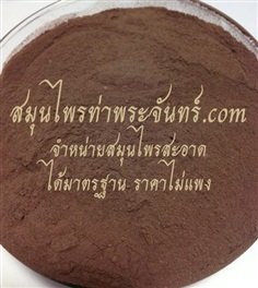 เทพทาโร / เทพธาโร(ลำต้น)