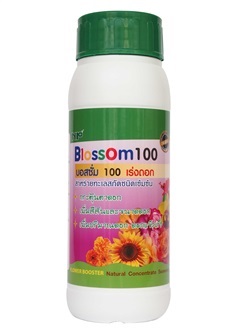 ิBlossom100 บอสซั่ม100 ฮอร์โมนออร์แกนิค เร่งดอก ดอกติดดี 