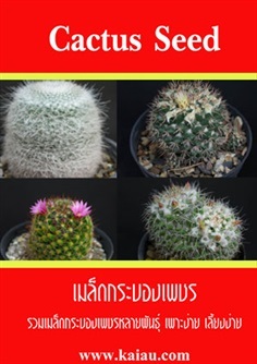 ขายเมล็ดกระบองเพชร สกุล Mammillaria รวม