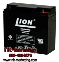 แบตเตอรี่ Deep Cycle 12v 20ah LION (DEV20-12) 