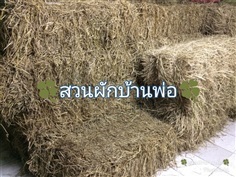 ฟางข้าว