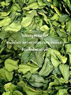 ใบมะกรูดแห้ง  Kaffir lime leaves