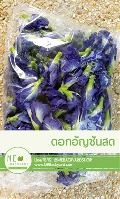 ดอกอัญชันสด (100 กรัม) | Mebackyard -  สมุทรสาคร