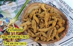 ขมิ้น ขมิ้นชัน สมุนไพร สมุนไพรไทย | Thaiherb.supply - บางนา กรุงเทพมหานคร