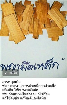 พญามือเหล็ก | สวนหทัยทิพย์ - วัดโบสถ์ พิษณุโลก