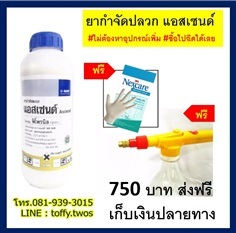 ยากำจัดปลวกแอสเซนด์ 1ลิตร มีของแถม ส่งฟรี+เก็บเงินปลายทางฟรี