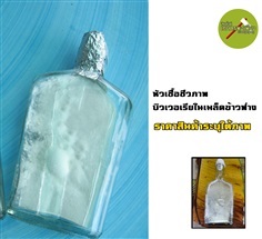 หัวเชื้อชีวภาพบิวเวอเรียในเมล็ดข้าวฟ่าง