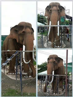 ช้างมงคล