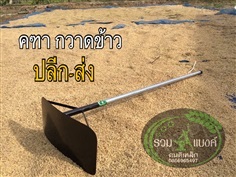 คทา กวาดข้าว