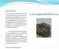 รับผลิต ขายส่ง ปุ๋ยอินทรีย์เคมี