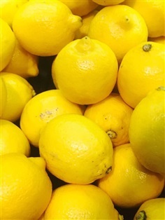 เลมอน มะนาวเหลือง Lemon