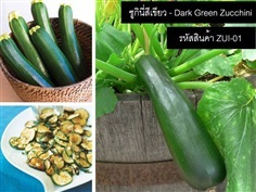 เมล็ดพันธุ์ซูกินีสีเขียว(จำหน่ายเมล็ดพันธุ์นำเข้าคุณภาพดี)