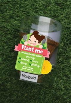 Plant me ชุดพร้อมปลูก