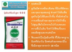 ปุ๋ยอินทรีย์เคมี สูตร 6-3-3 | ไม้งามเกษตรไทย - หนองแขม กรุงเทพมหานคร