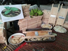 #กล้วยล้นตลาดราคาตก แปรรูปสิครับผม มีดสไลด์ เส้นเผือก มัน กล | ฟาร์มอนุชาบานาน่า - วังน้อย พระนครศรีอยุธยา