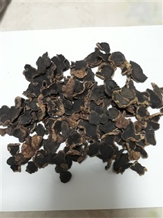 กระชายดำอบแห้ง กระชายดำสด ส่งออก Dried Black Ginger