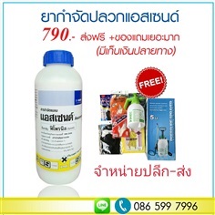 ยากำจัดปลวกแอสเซนด์ ฟิโพรนิล5%ขายปลีก-ส่งมีโปรโมชั่นทุกเดือน