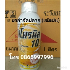 ยากำจัดปลวกฟิโพรนิล10%แรงกว่าแอสเซนด์