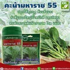 คะน้ามหาราช 55