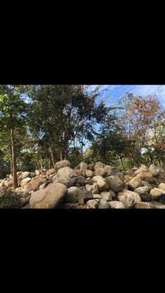 ก้อนหินจัดสวน