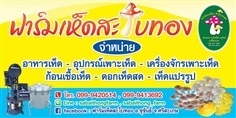 อุปกรณ์เพาะเห็ดครบวงจร | ฟาร์มเห็ดสะใบทอง - ขุขันธ์ ศรีสะเกษ