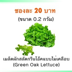 เมล็ดผักสลัดกรีนโอ๊ค (แบบไม่เคลือบ) | Mono Poly Fruits - เมืองเชียงใหม่ เชียงใหม่