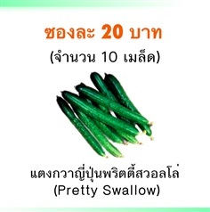 เมล็ดแตงกวาญี่ปุ่นพริตตี้สวอลโล (Pretty Swallow)