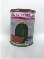 เมล็ดพันธุ์แตงโม กินรี 457