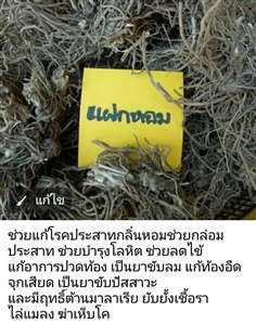 แฝกหอม