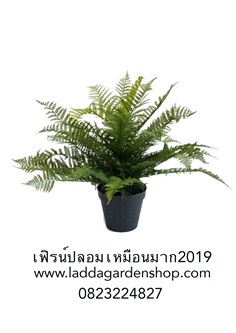 เฟิร์นปลอมกระถางเส้นผ่านศูนย์กลาง 60ซม (Artificial Fern)