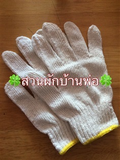 ถุงมือผ้า | สวนผักบ้านพ่อ - เมืองสมุทรปราการ สมุทรปราการ