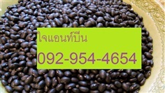 ถั่วแขก (ถั่วเขียวผิวดำ ) | ไจแอนท์บีน GiantBean - เมืองสุพรรณบุรี สุพรรณบุรี