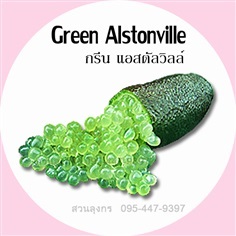 มะนาวคาเวียร์ Green Alstonville