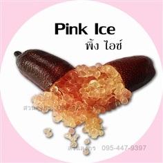 มะนาวคาเวียร์ Pink Ice
