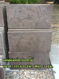 แผ่นทางเดิน