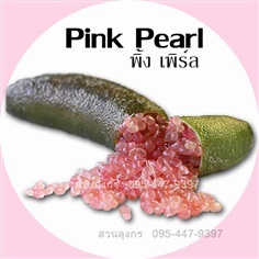 มะนาวคาเวียร์ Pink Pearl