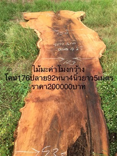 มะค่าแผ่นใหญ่ๆ กว้าง160ปลาย100หนา4นิ้วยาว5เมตร