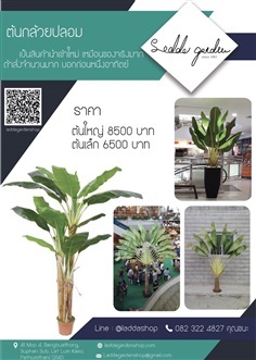 ต้นกล้วยปลอม (Artificial Banana Tree) | laddagarden - ลาดหลุมแก้ว ปทุมธานี