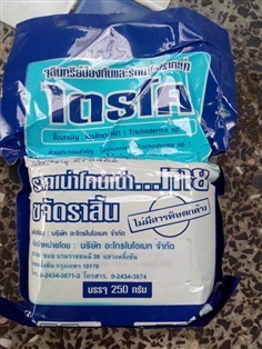 เชื้อราไตรโคเดอร์มา