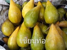 เซียนท้อ