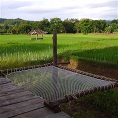 ตาข่ายนอนเล่น ตาข่ายรีสอร์ท ตาข่ายคาเฟ่ ตาข่ายเชือก | สวนศรีนาม่าน - สันติสุข น่าน