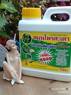 สารสกัดสมุนไพรสะเดา 100% | สวนผักบ้านพ่อ - เมืองสมุทรปราการ สมุทรปราการ