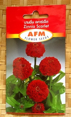 เมล็ดพันธุ์ดอกบานชื่น (Zinnia) สีแดง
