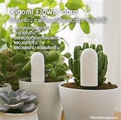 Xiaomi Flower Care เครื่องตรวจสอบความชื้น,ดิน,แสง,อุณหภูมิ | higrow -  กรุงเทพมหานคร