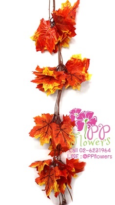 เถาวัลย์เมเปิ้ลส้ม 5 เส้น | PP Flowers  - สัมพันธวงศ์ กรุงเทพมหานคร